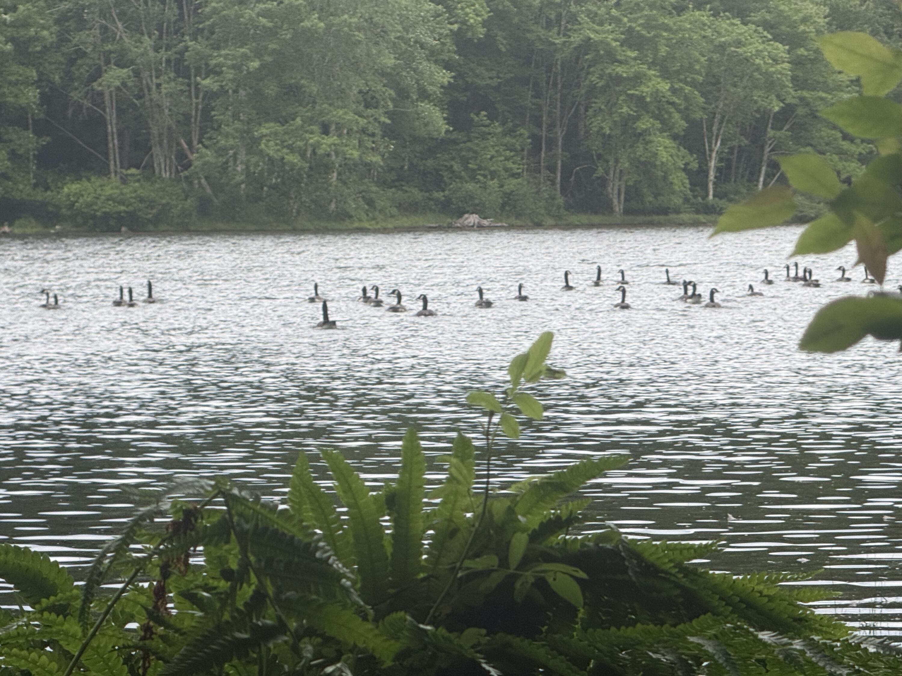 Image 3: IMG_2381