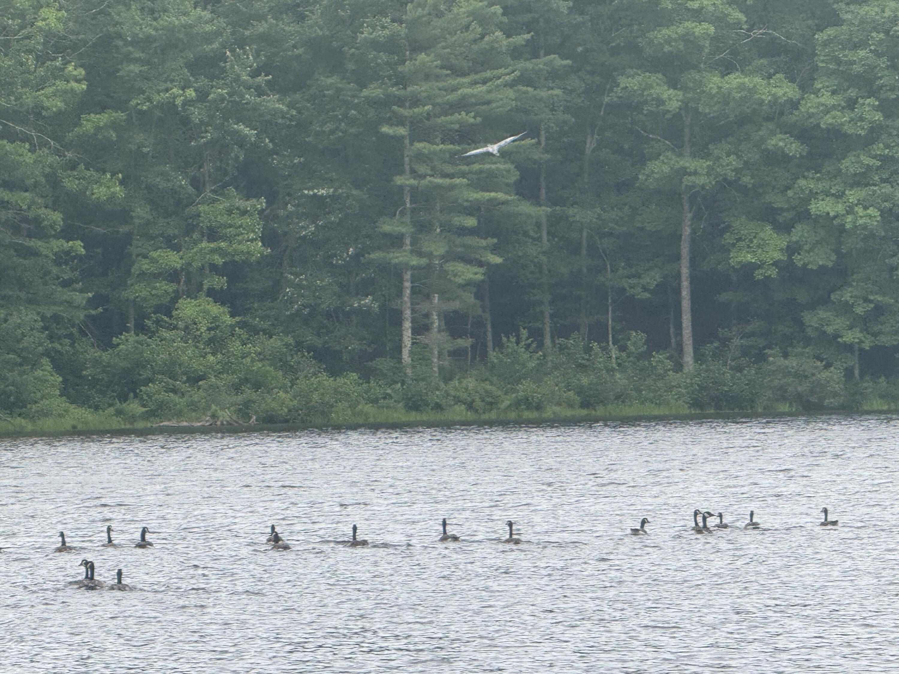 Image 4: IMG_2382