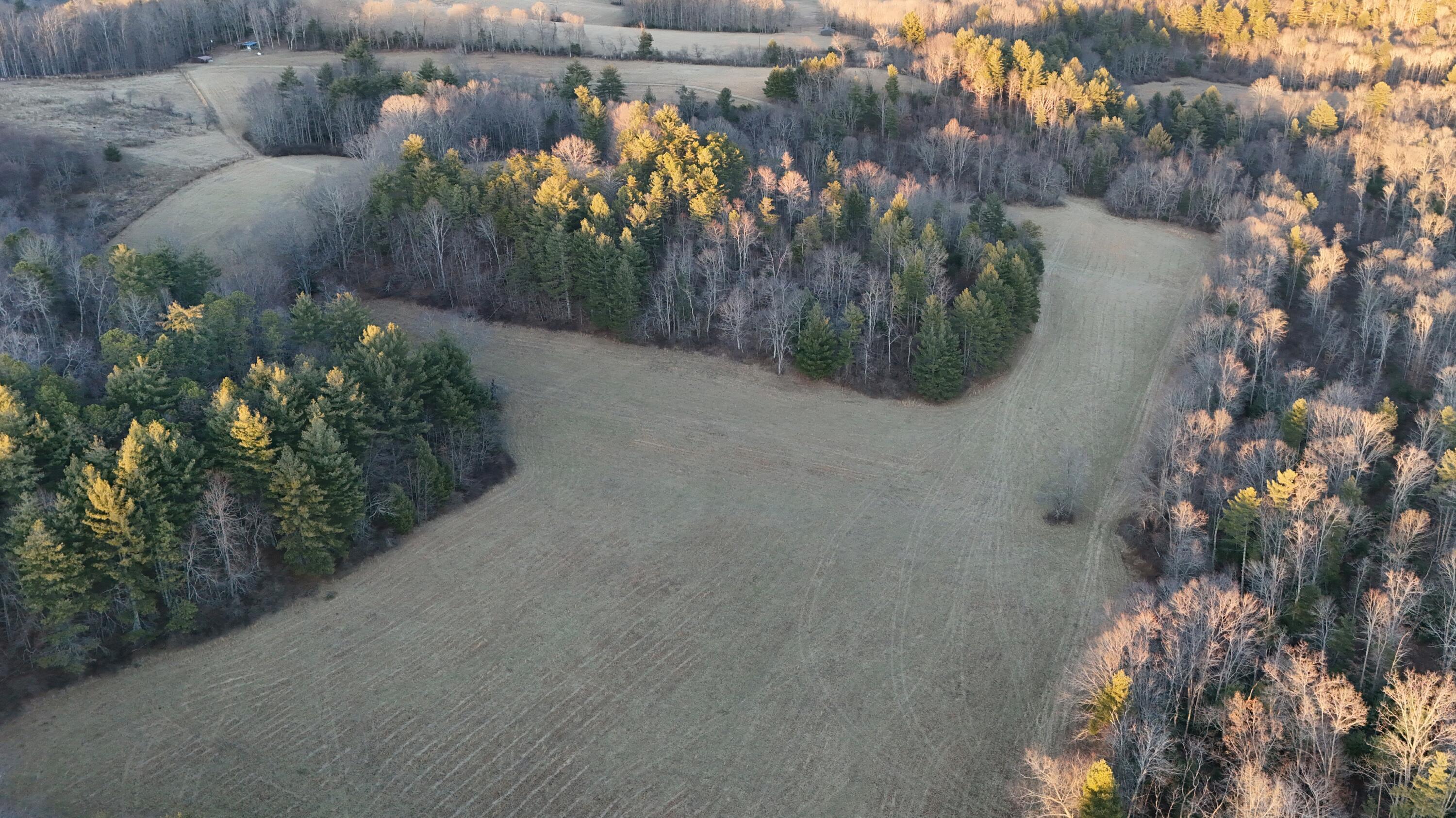 Image 2: DJI_20260107155806_0003_D