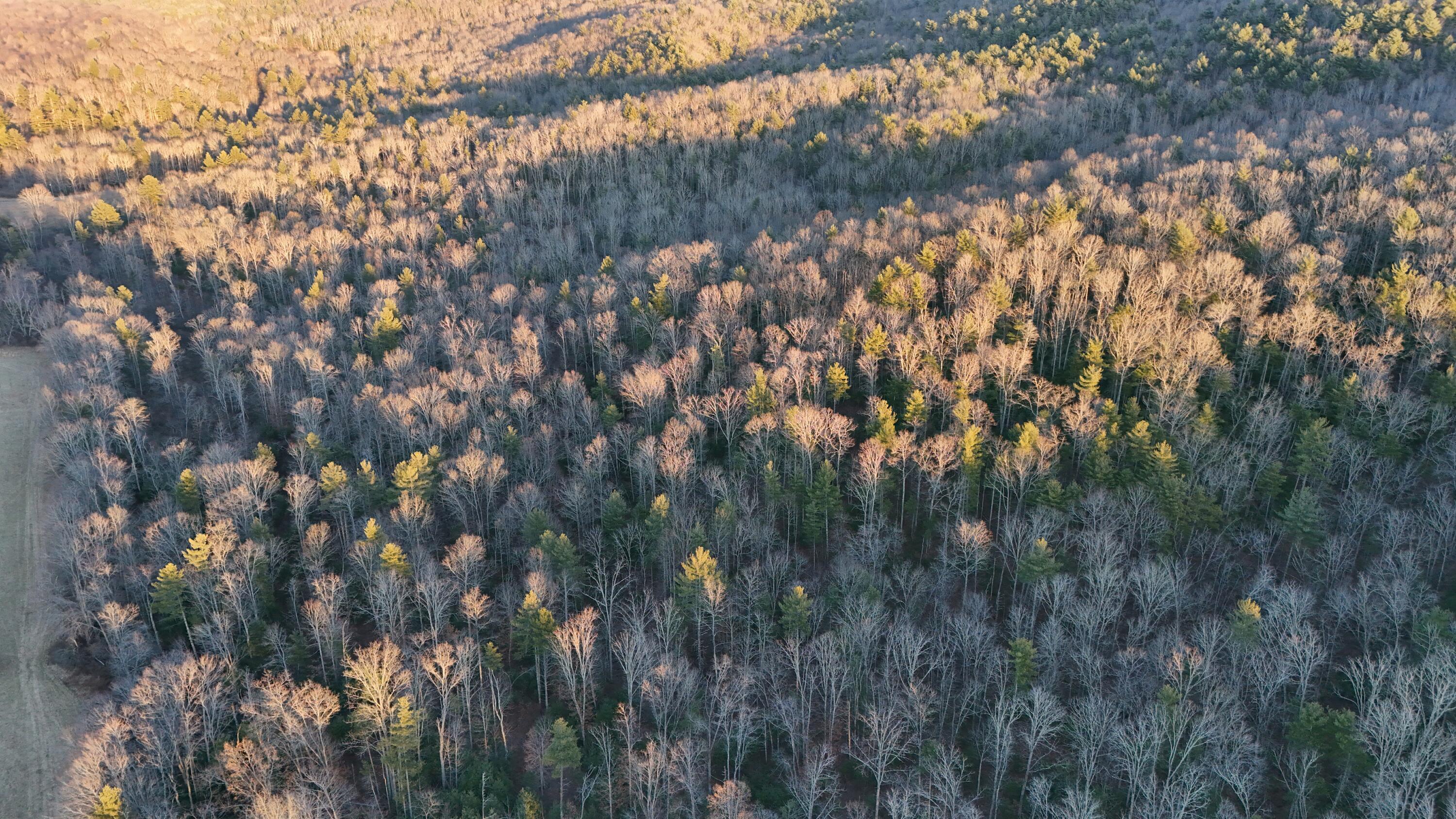 Image 3: DJI_20260107155758_0002_D