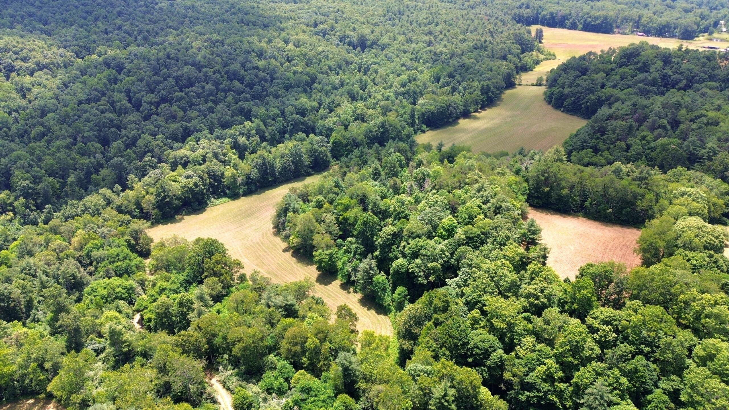 Image 4: Resized_DJI_0006