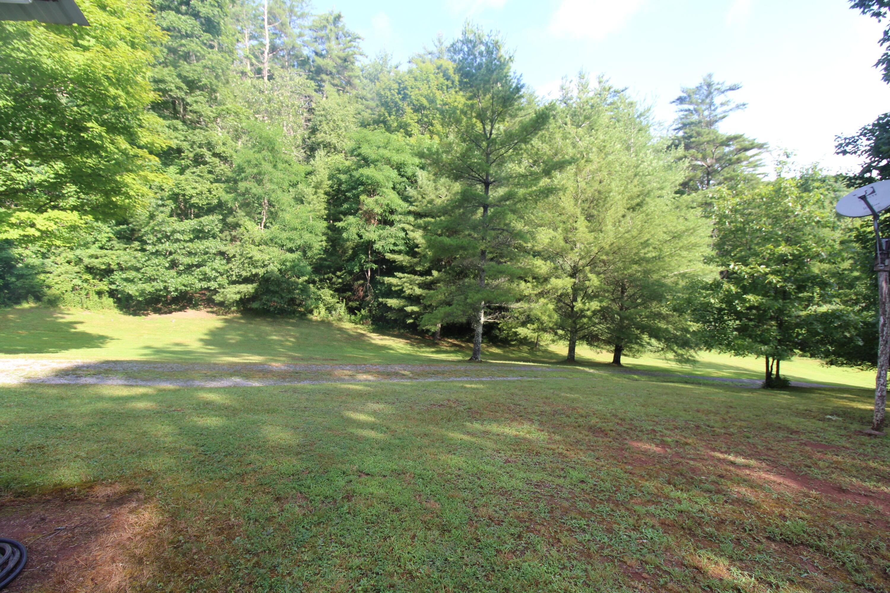 Image 4: Land