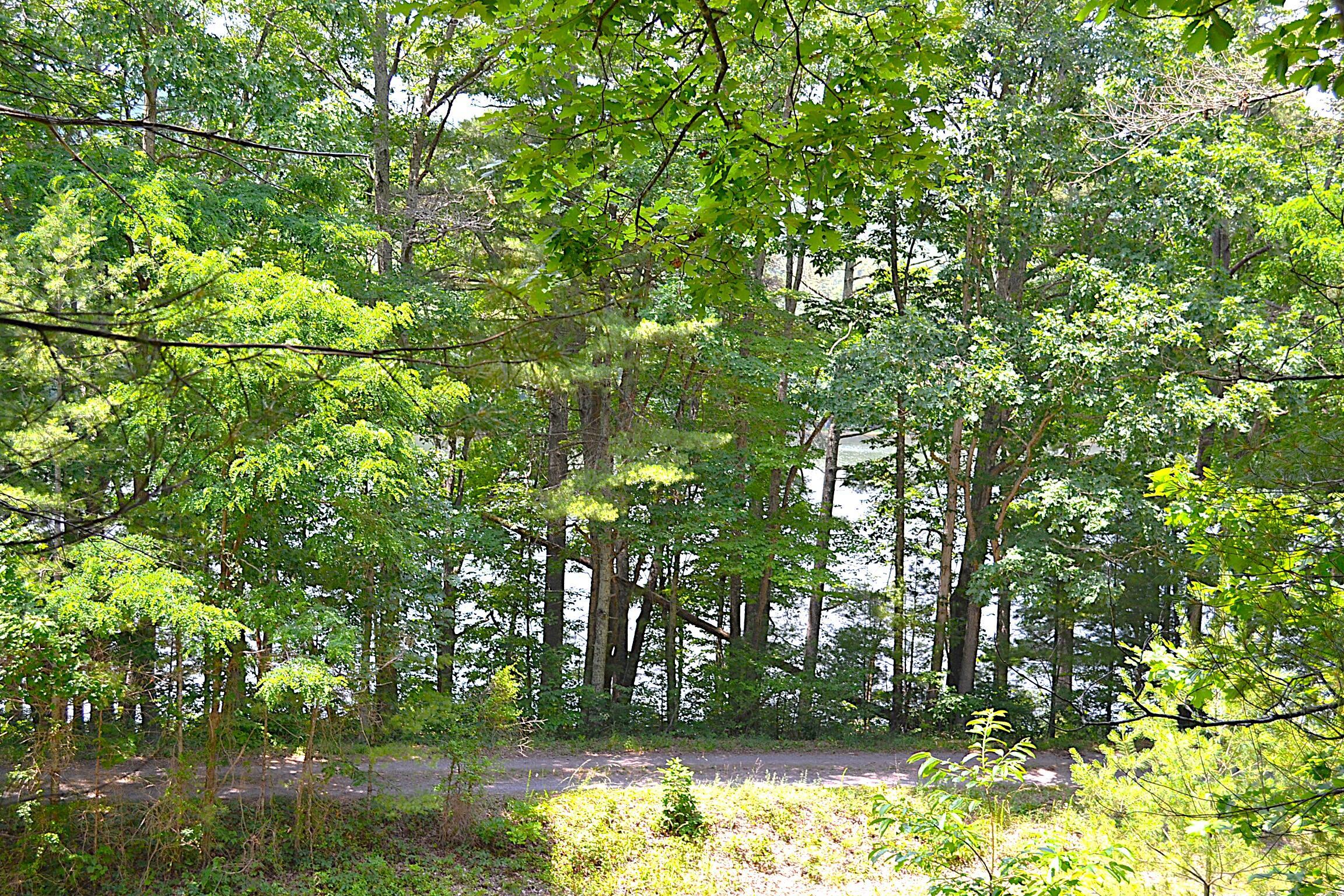 Image 2: Lake View