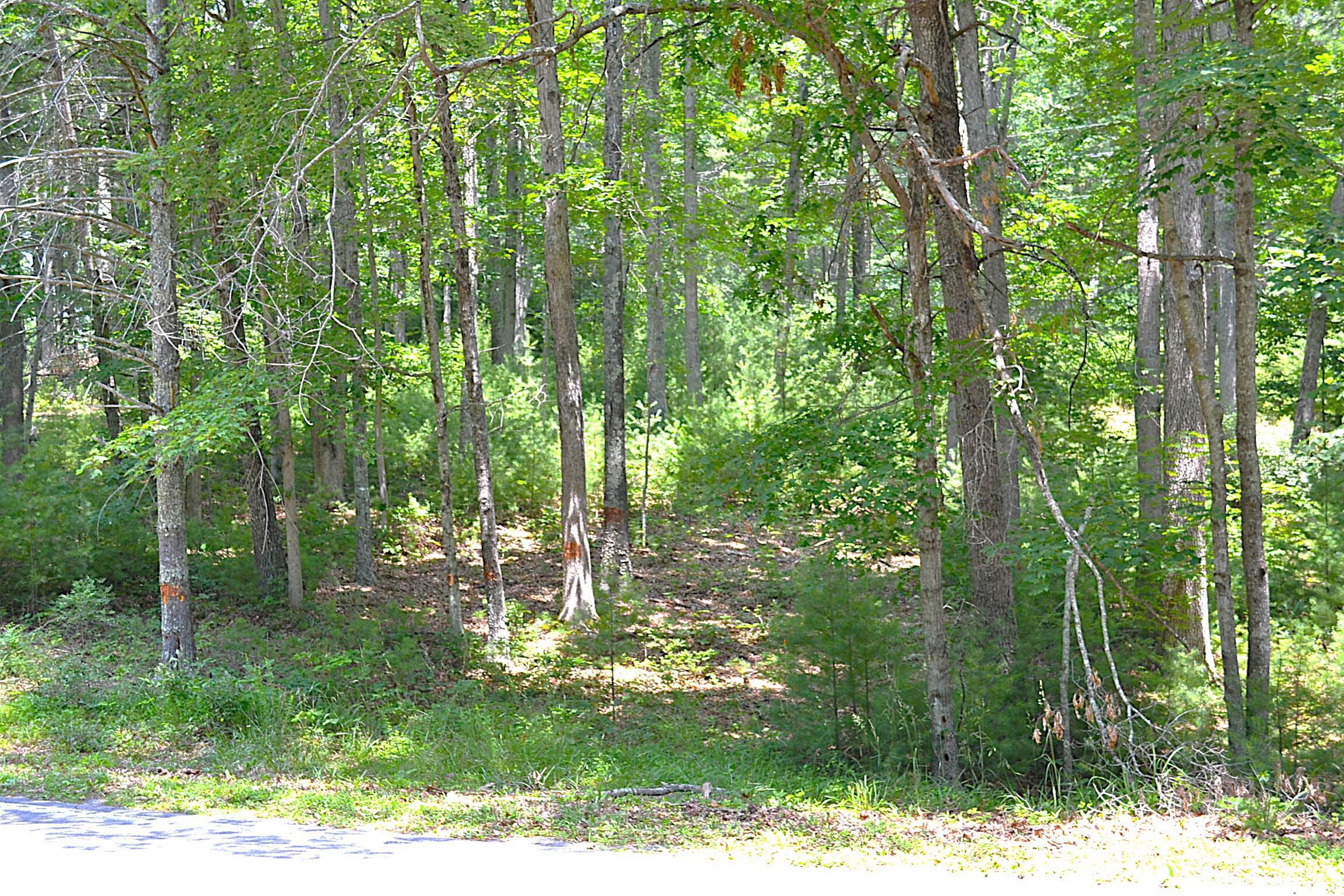 Image 3: Entrance