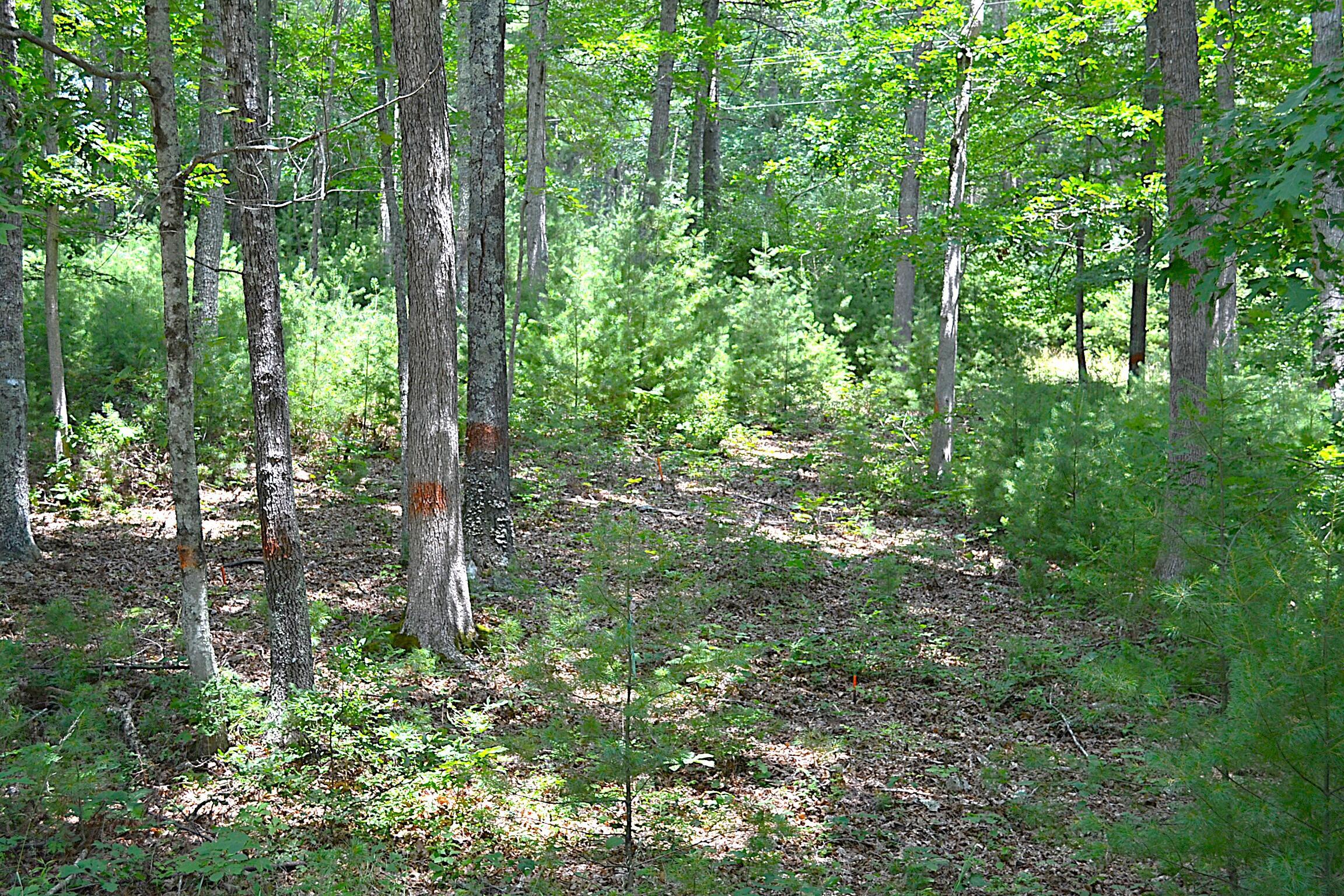 Image 4: Entrance