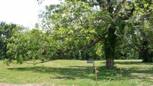 30718 Lower Oxbow Trace Lot 2