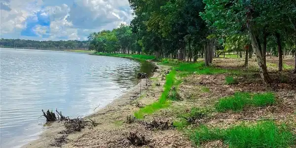 Lot 31- LCR 882 Limestone County Road