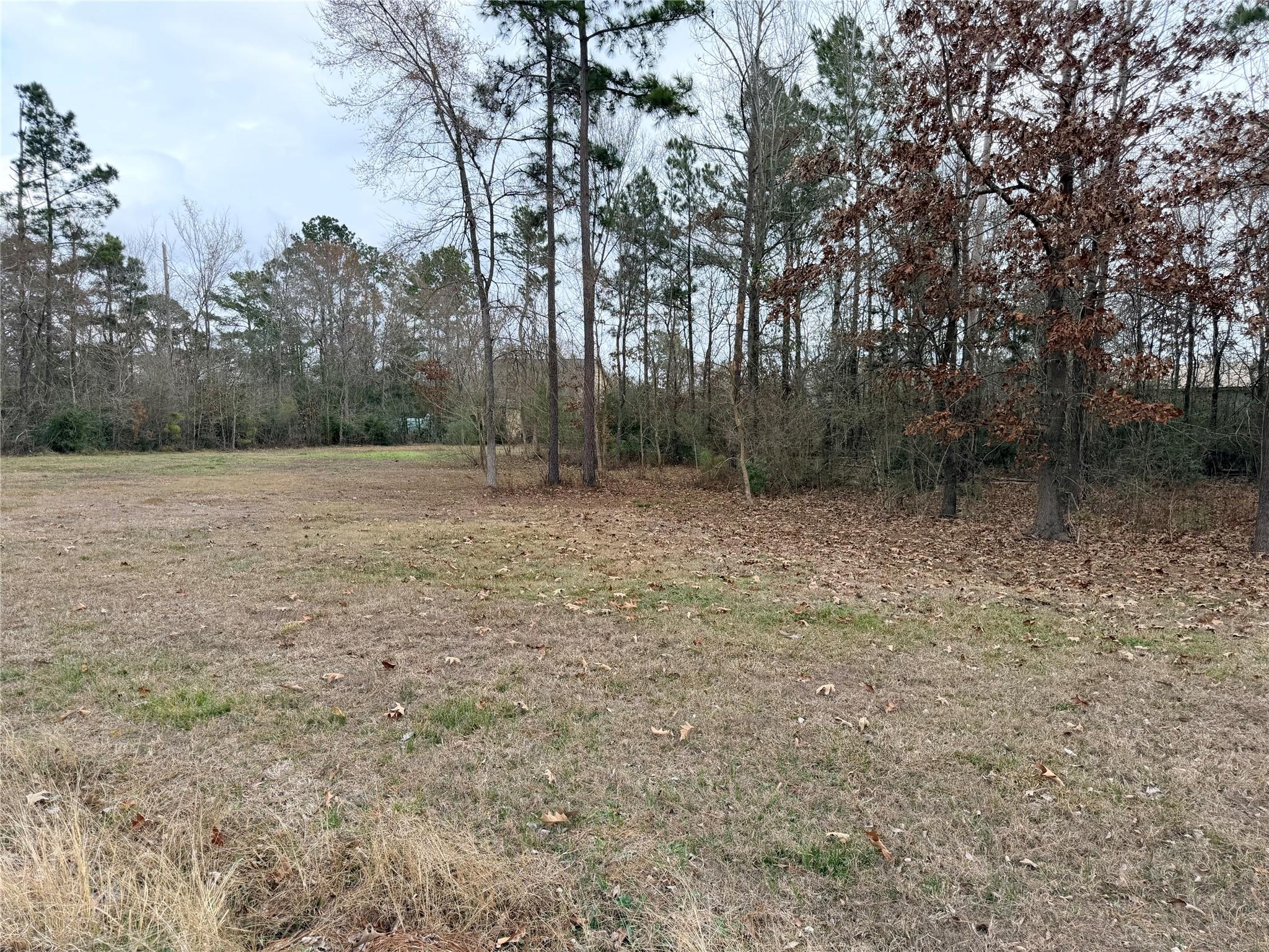 Image 1: Beautiful lots full of potential