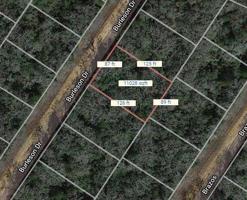 Lot 4 Brazos Lane
