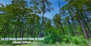 Lot 39 County Road 4921