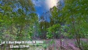 Lot 11 Blue Ridge Drive