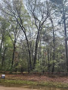 TBD LOT #13 Windwood Drive