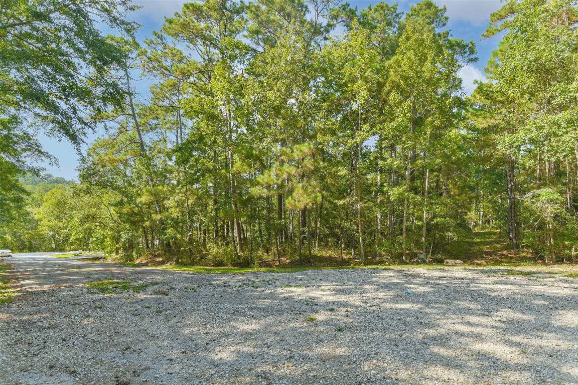 Image 2: Gorgeous mature trees throughout the property crea