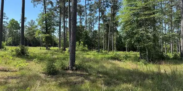 006 Private Road 6028 tract 1-6