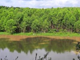 Lot 285 Arrow Head Lane