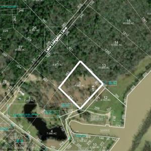 Lot 3 Lake Livingston Lane