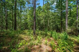 TBD 7, 8 & 9 Cross Creek Trail
