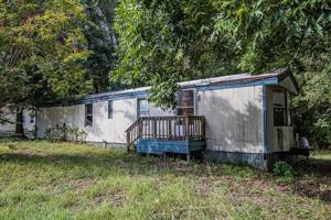 207 Roan