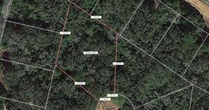 Lot 19 Sycamore Lane
