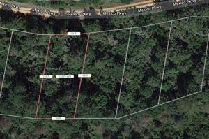 Lot 4 New Mexico Parkway