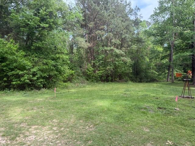 Image 2: Property lines marked by flags.  Lot is narrow at