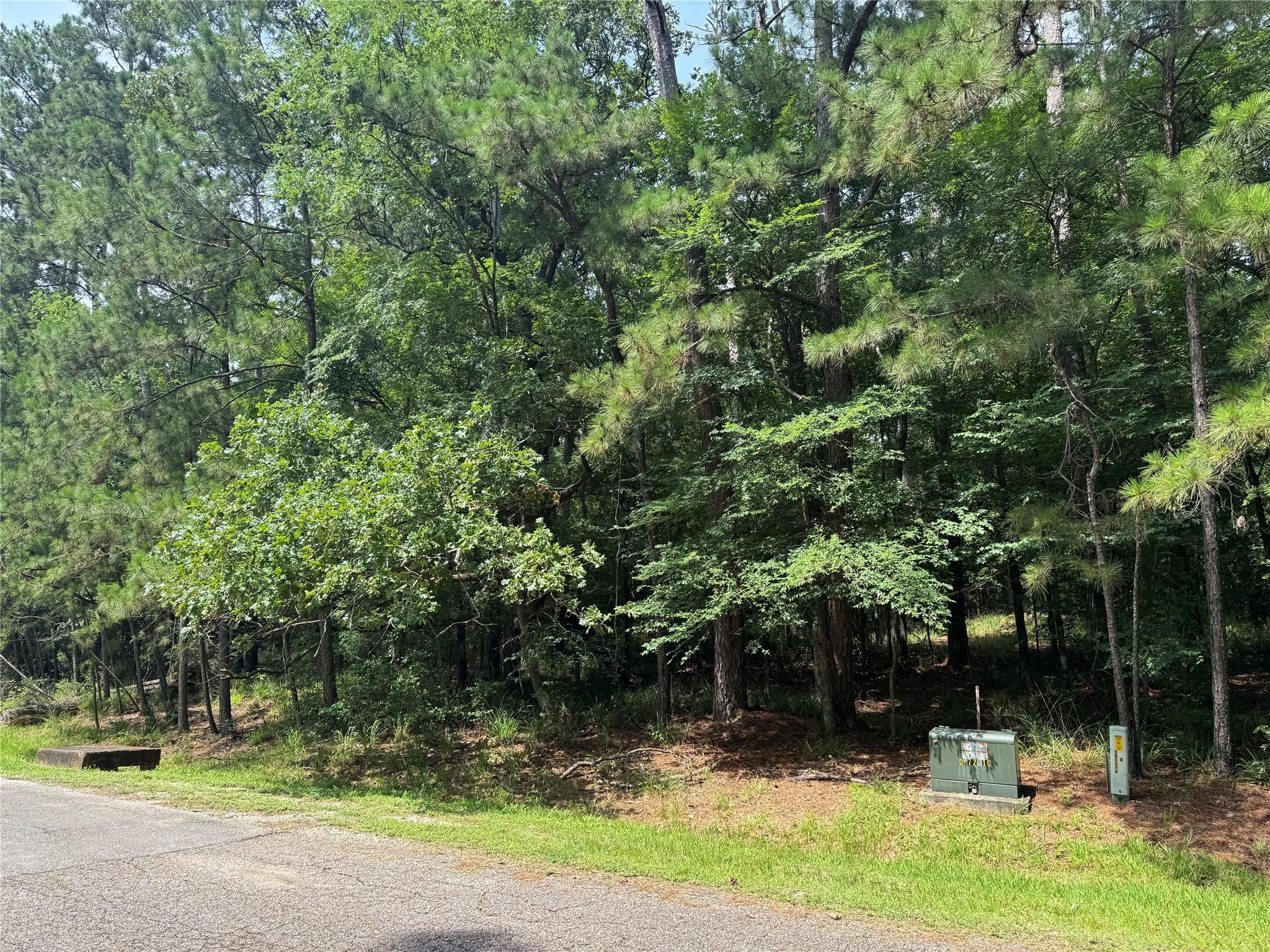 Image 1: Welcome to 75 Green Tree Drive!