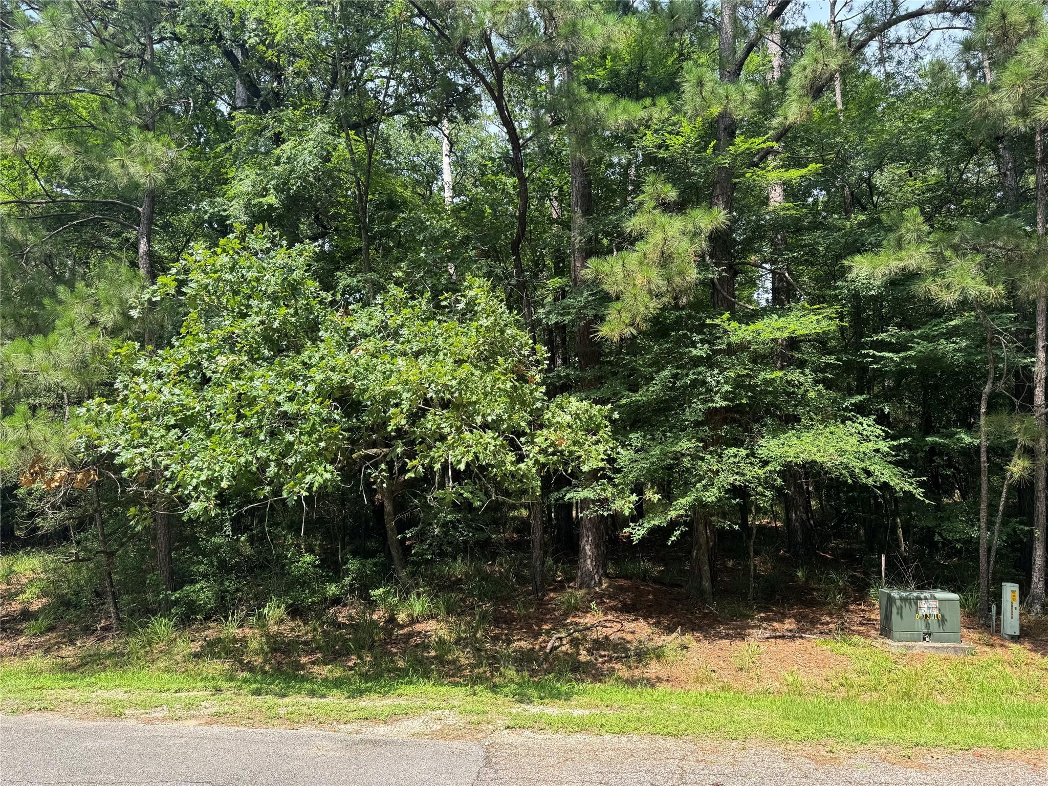 Image 2: Your blank canvas for a dream home in Cape Royale!