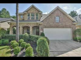 42 Whistling Swan