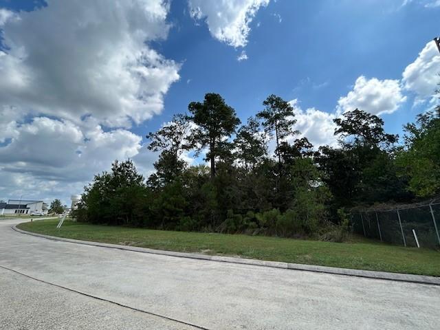 Image 1: View of the lot from the street