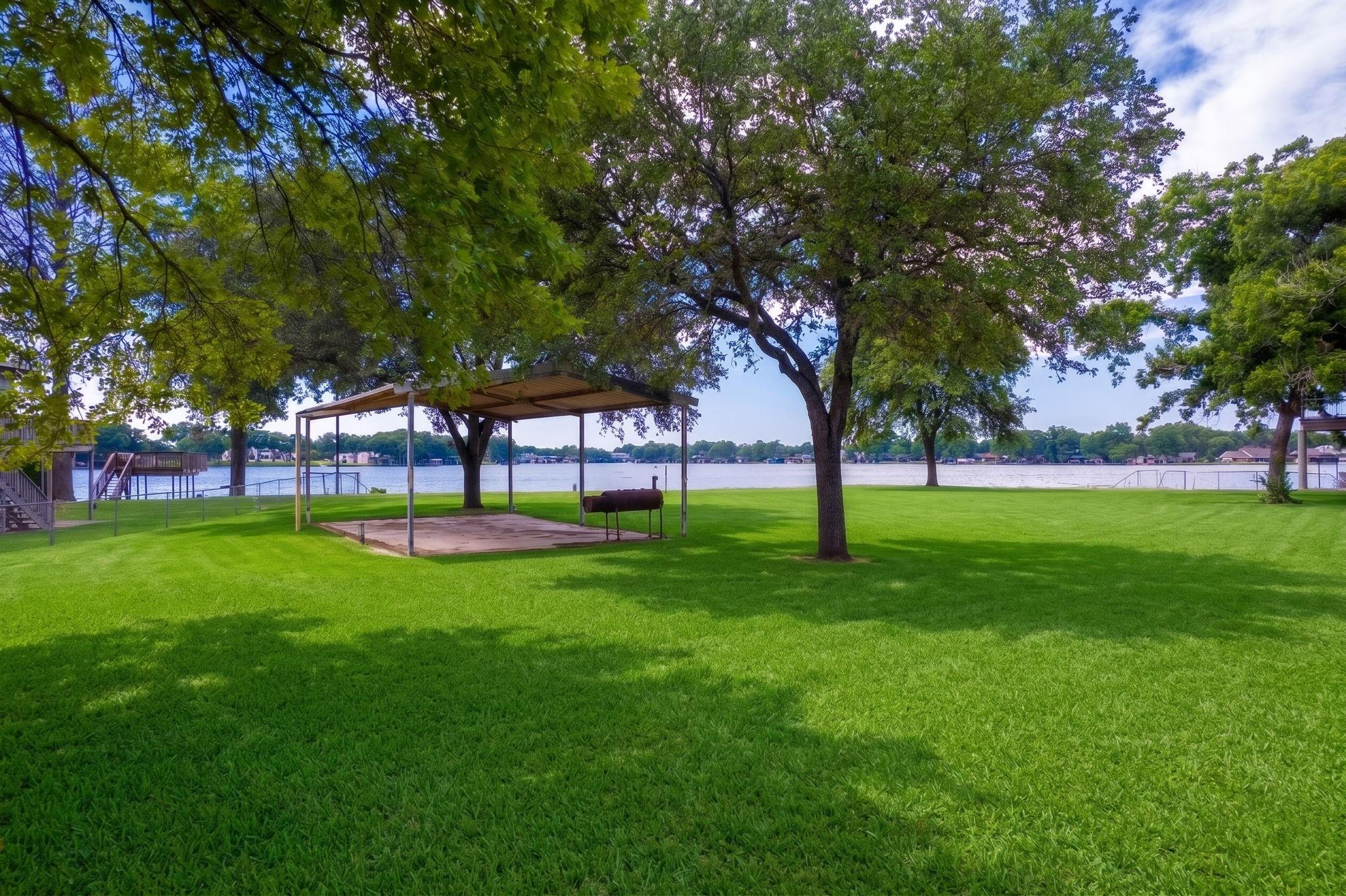 Image 3: Lots of beautiful trees.