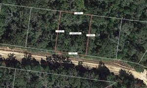 Lot 30 Alamo Road