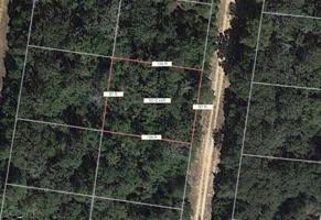 Lot 21 Alamo Road