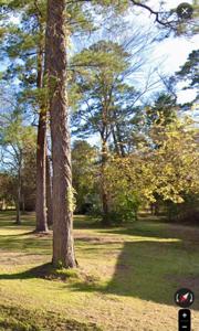 234 Corydon Drive