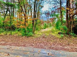 TBD Westwood Trail