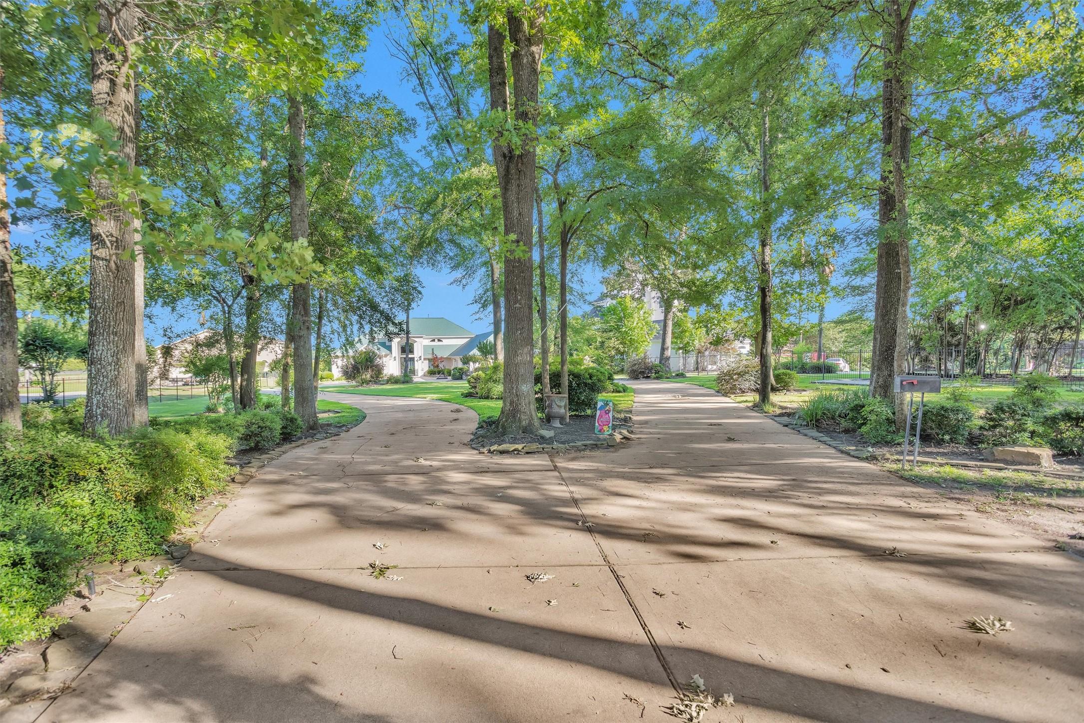 Image 4: A long, tree-lined driveway leads to a spacious ho