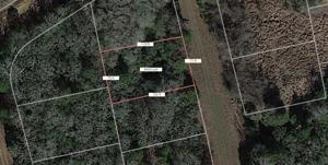 Lot 16 Wildwood Lane