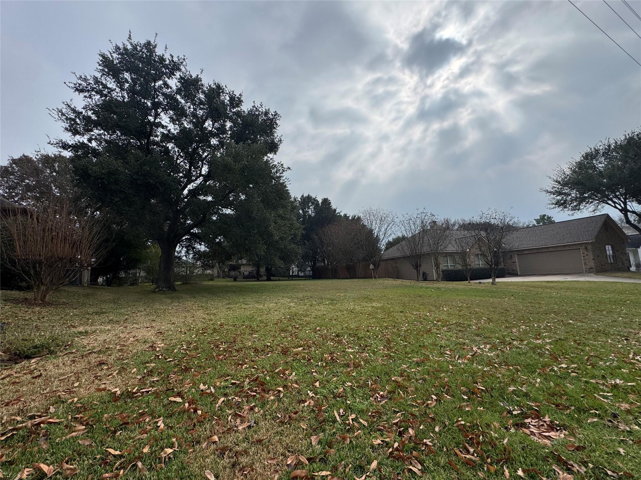 Image 2: Looking across lot from the left.