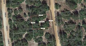Lot 20 Pinoak Lane
