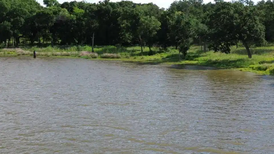 Image 1: Property View from Water