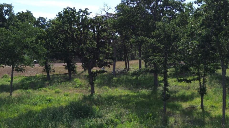 Image 3: View from Lake's Edge to Road