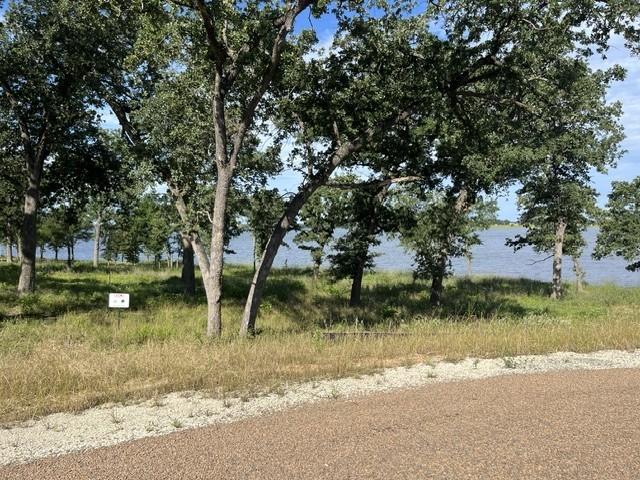 Image 4: Lot 30 Left Side View from Cul-de-Sac