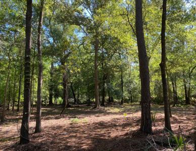 TBD Pin Oak Lane