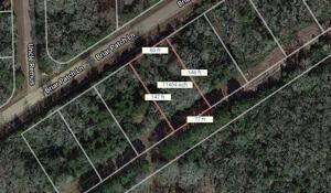 Lot 12 Briar Patch Lane