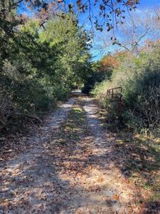 TBD W Trail Lane