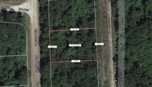 Lot 20 Briar Patch Lane