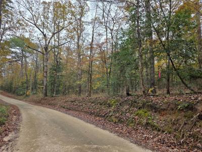 TBD County Road 3150