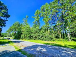 TBD Shelter Lane