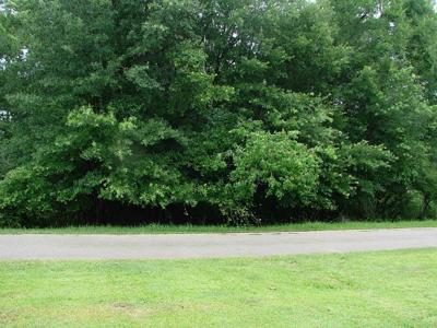 00 Pin Oak Lane