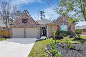11 S Crescendo Path Place