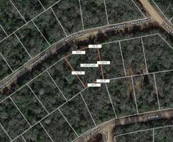 Lot 4 Mockingbird